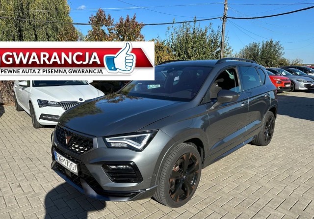 cupra